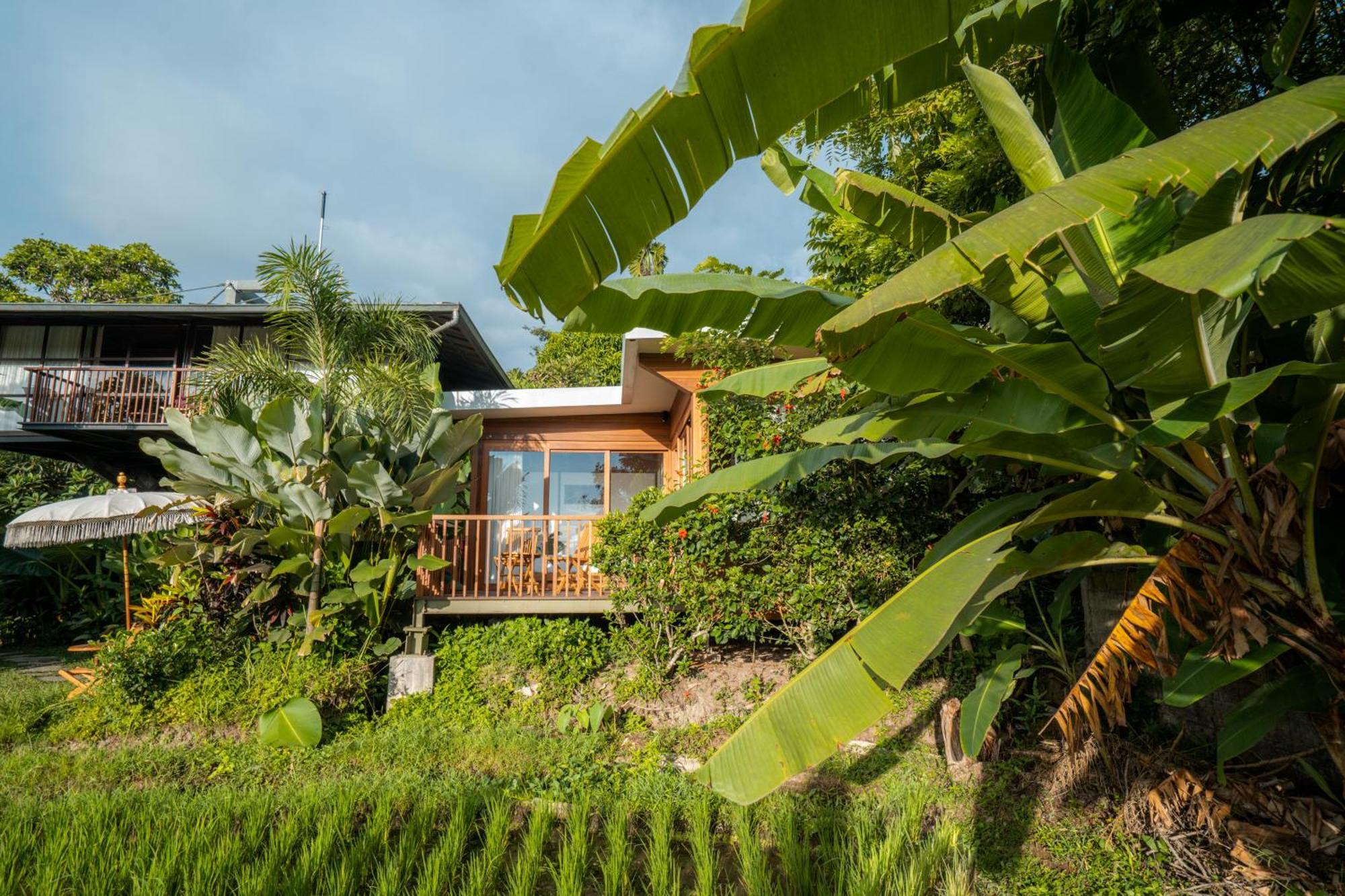 Gruen Ubud Luaran gambar