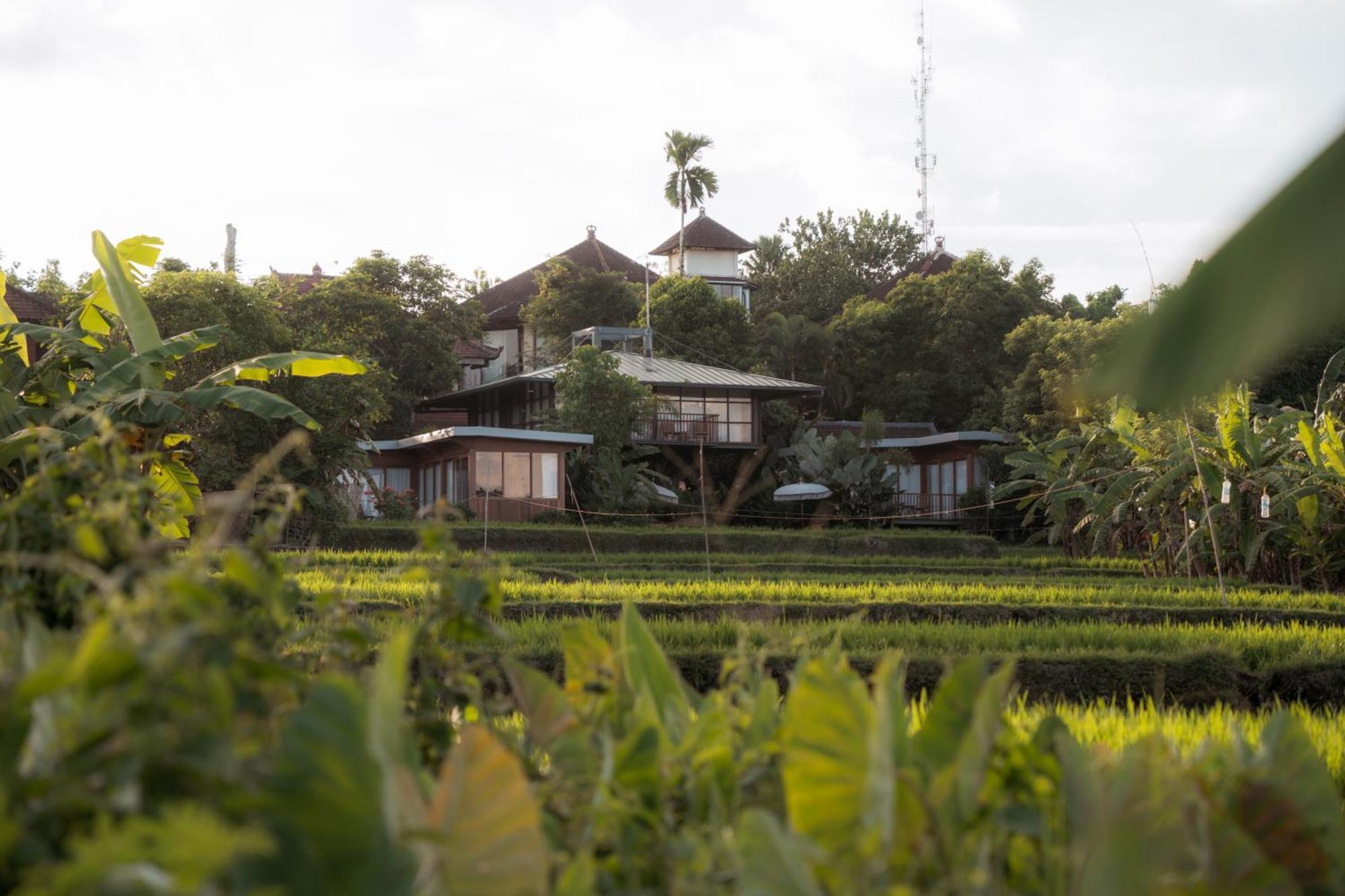 Gruen Ubud Luaran gambar
